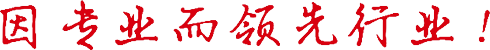 因专业而领先行业,中山Z6尊龙凯时灯饰